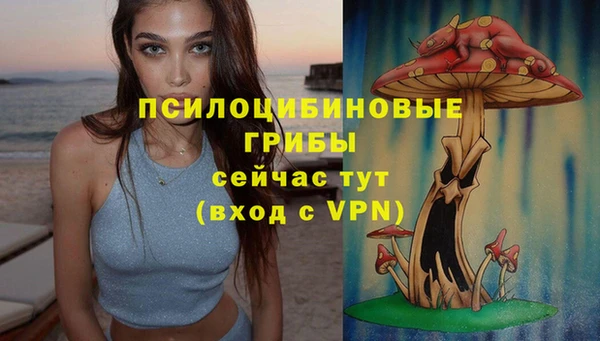 скорость Осташков