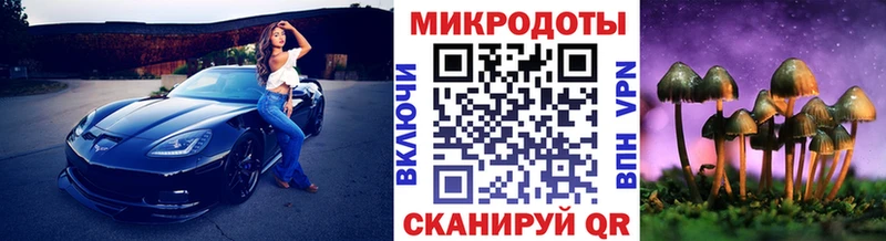 Купить где  Энгельс  Псилоцибиновые грибы Cubensis